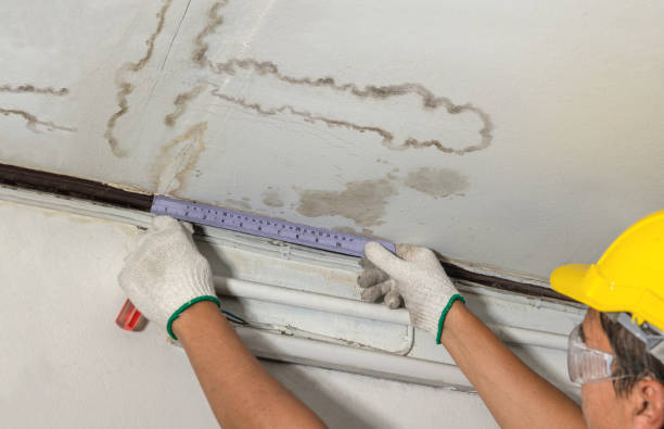 Reliable Water Damage contractor in La Cygne, KS by Water Damage Irwin